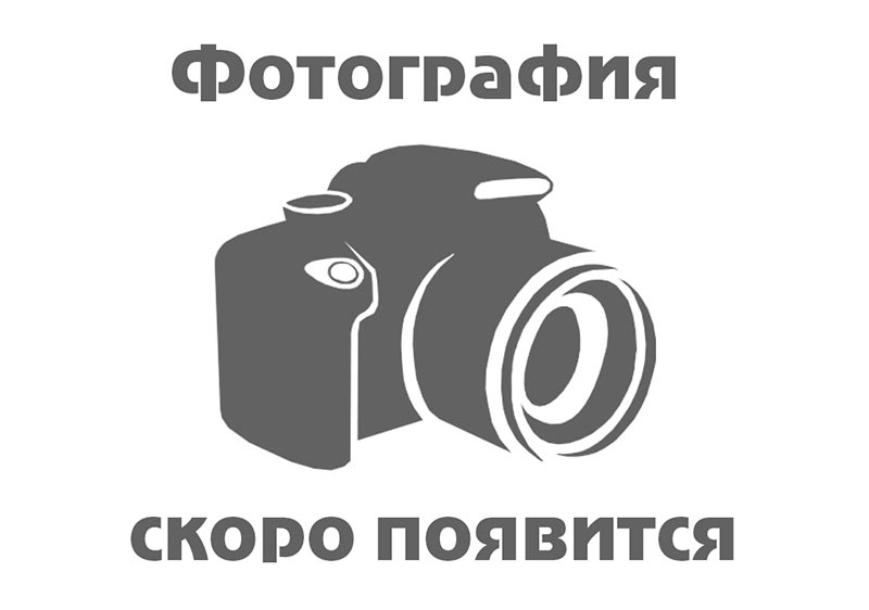 Ковровые дорожки 